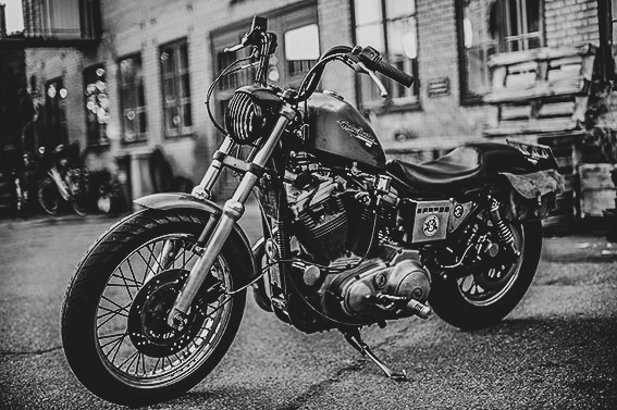 Harley Davidson standing 